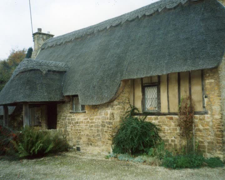 A still image from The Wolf