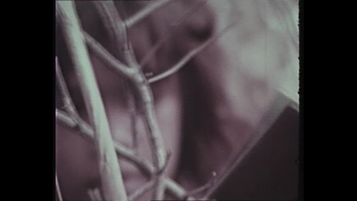 A still image from Aboriginal Education