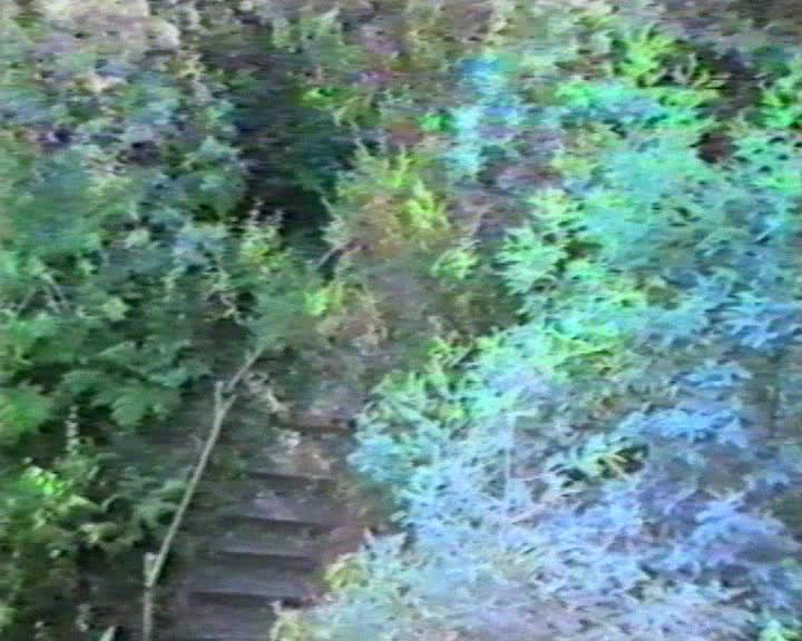 A still image from Impression of Oakleigh Technical School. . a caring place