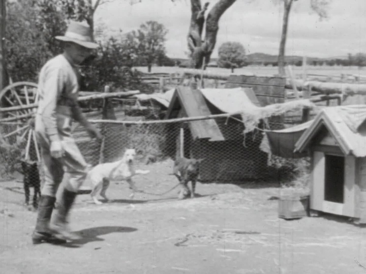 A still image from A Man and his dog