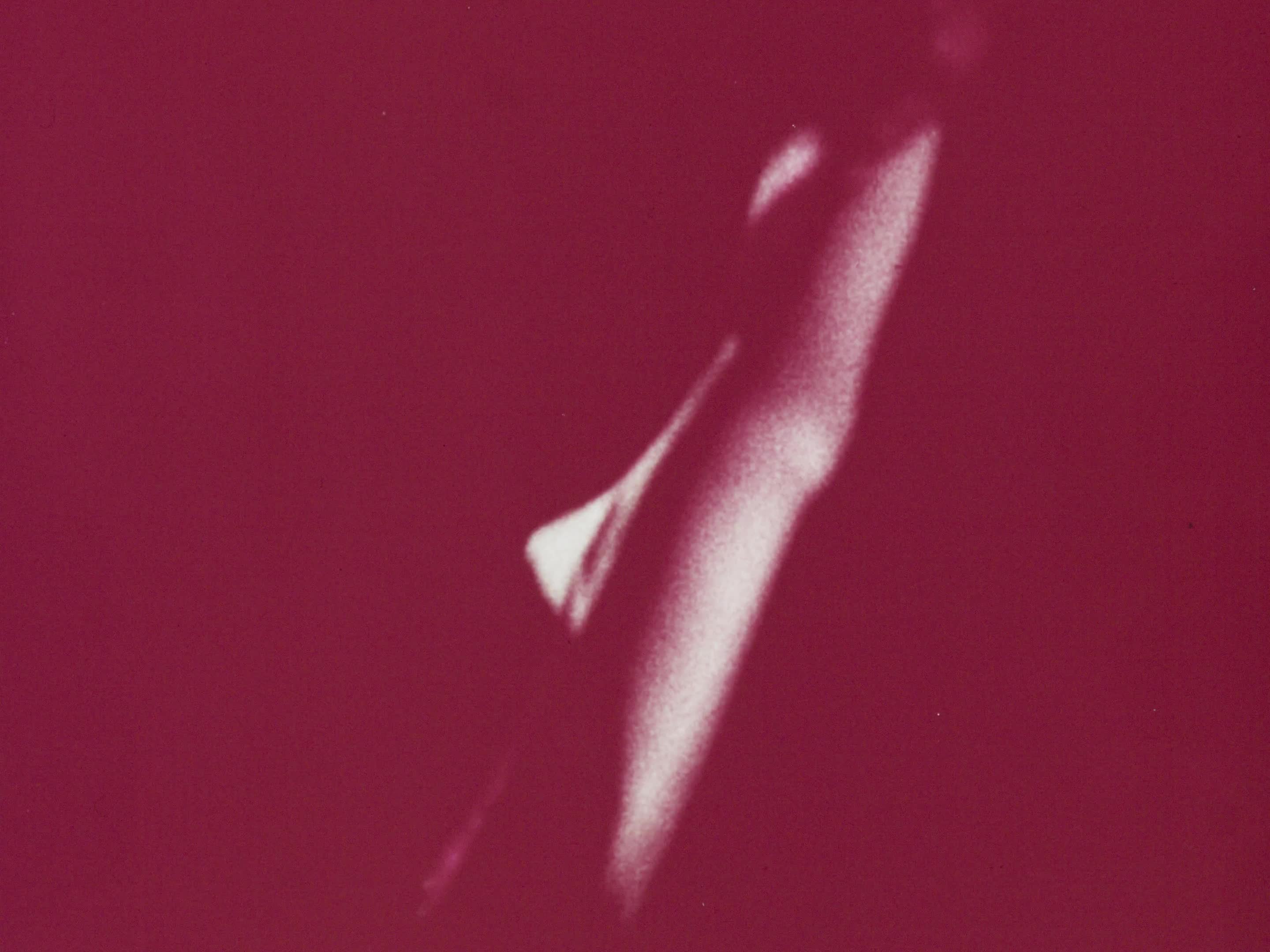 Raga Doll thumbnail image.