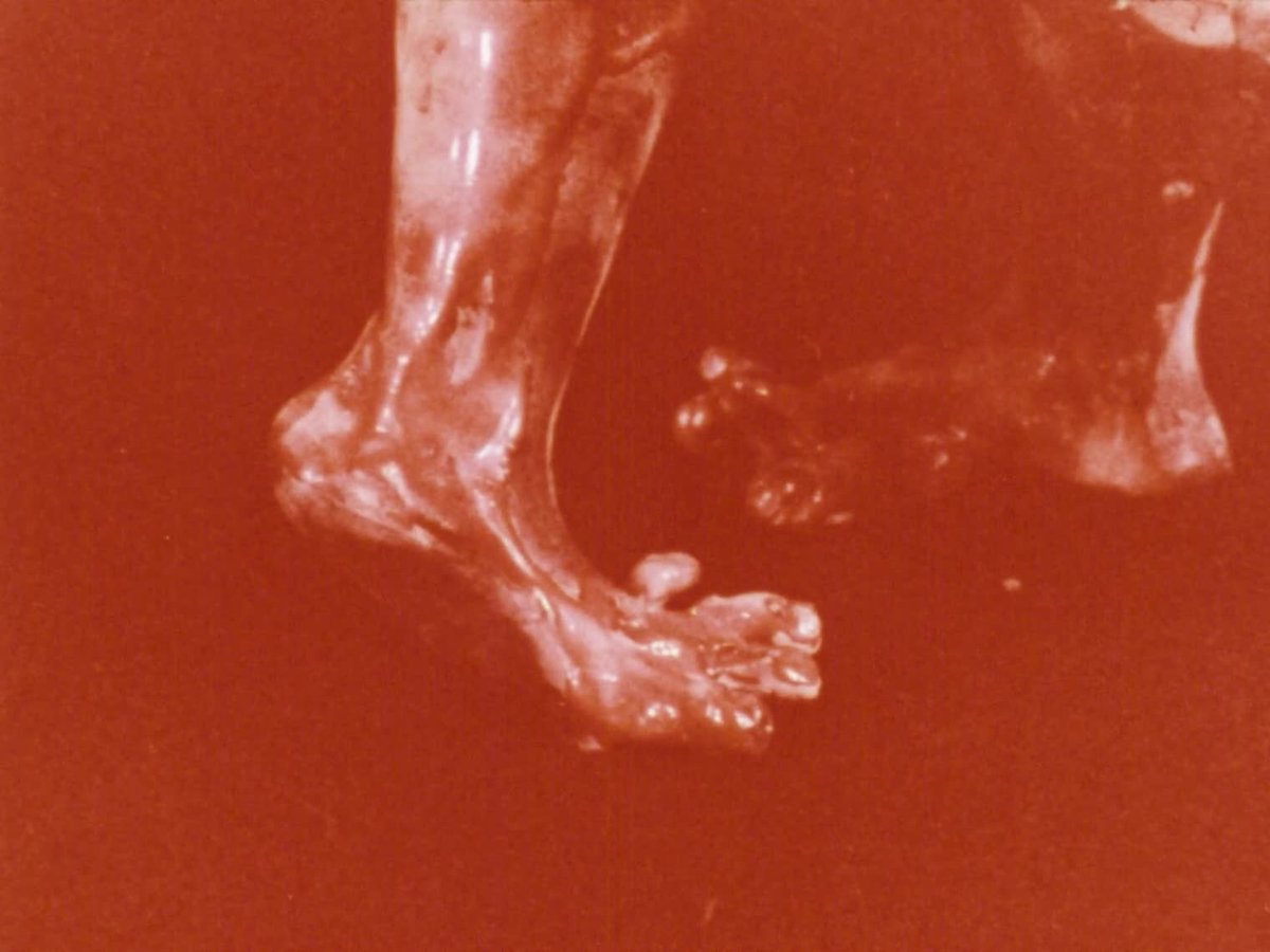 A still image from The Dance of the angels: ceramic sculptures of John Perceval