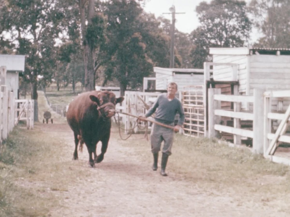 A still image from Breeding for quality