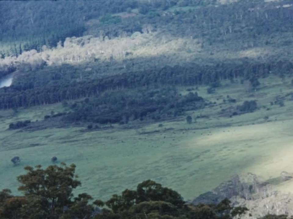 [Ted Parsons Home Movies: Reel 3] thumbnail image.