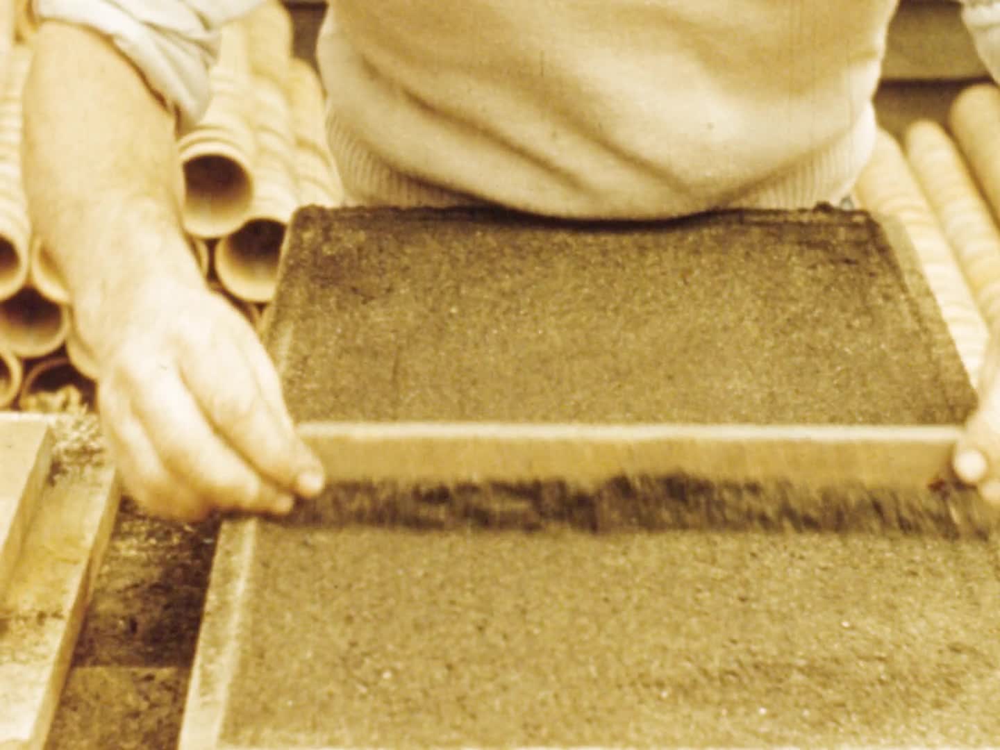 Trees for the wheatlands thumbnail image.