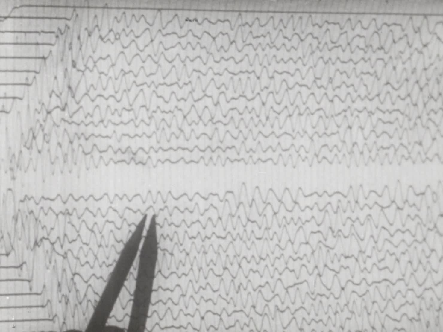 Western Australia: the search for oil thumbnail image.