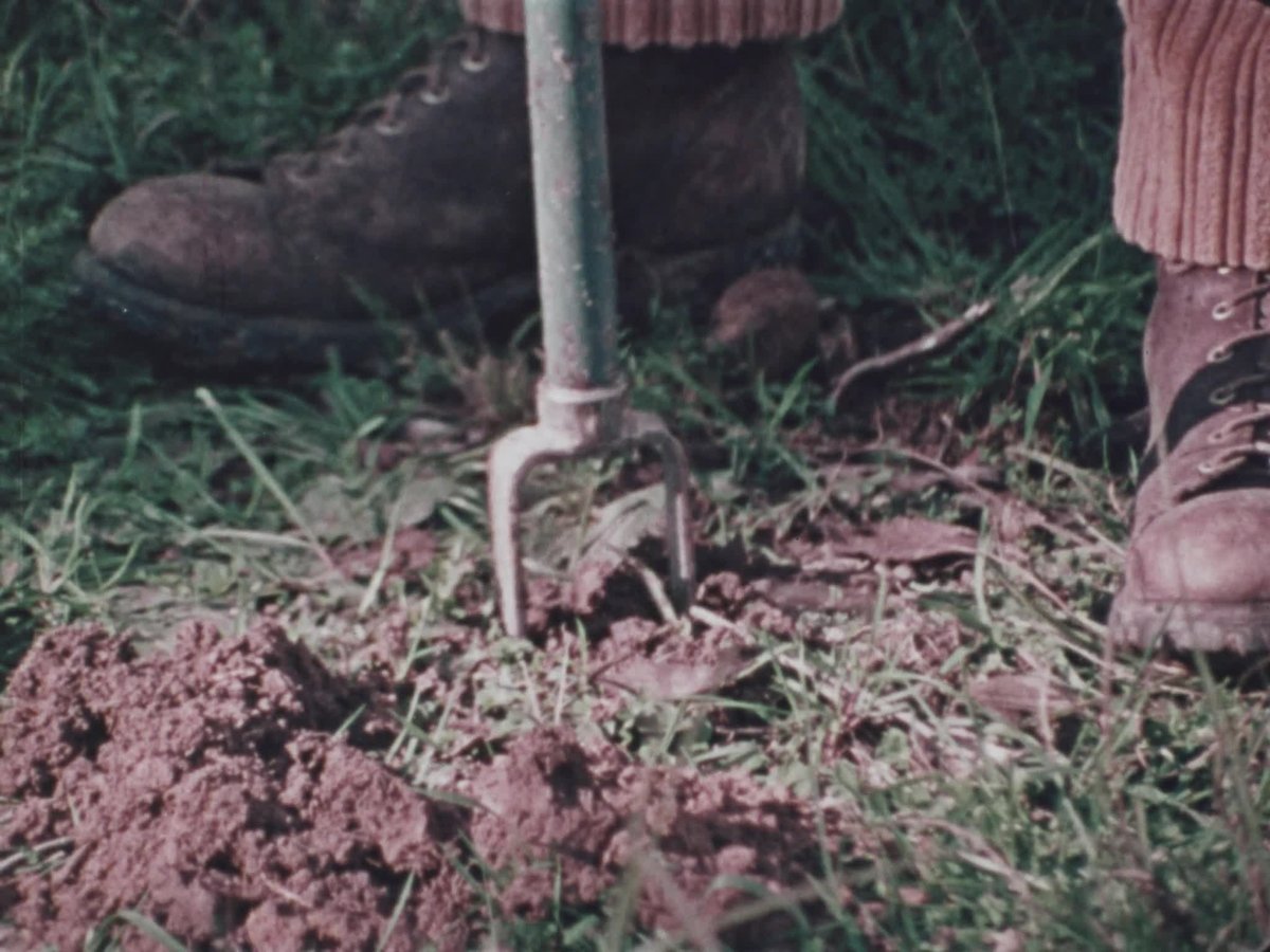 A still image from Dartmouth