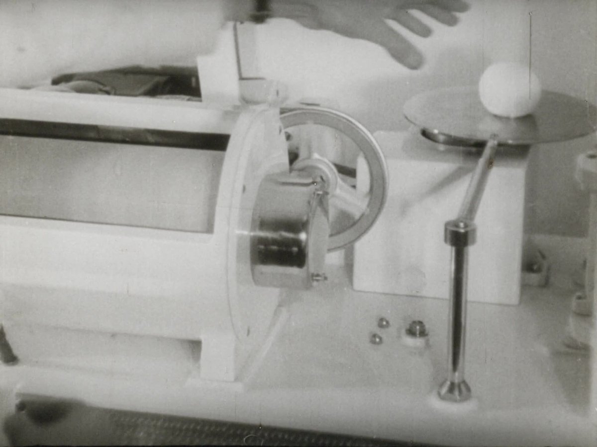 A still image from Report on wheat
