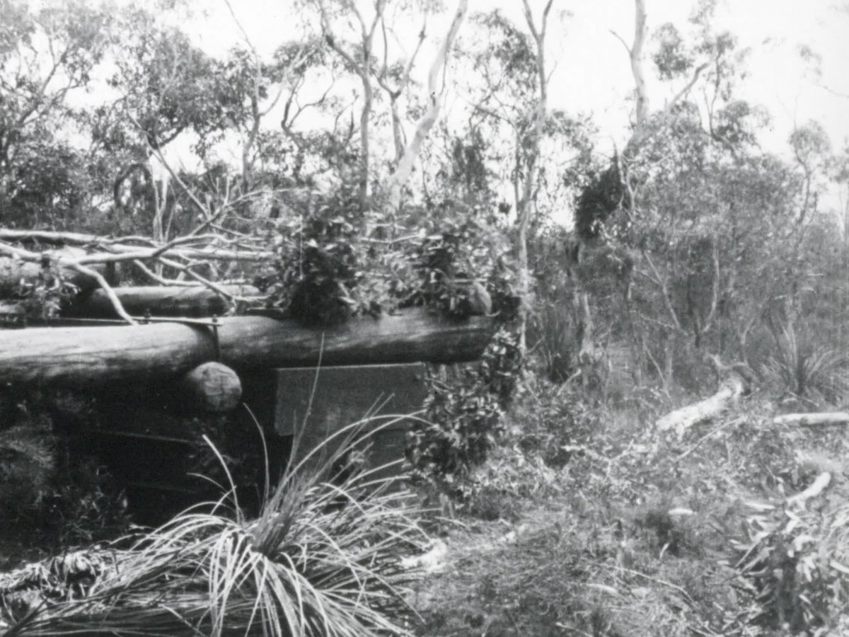 A still image from Modern land development