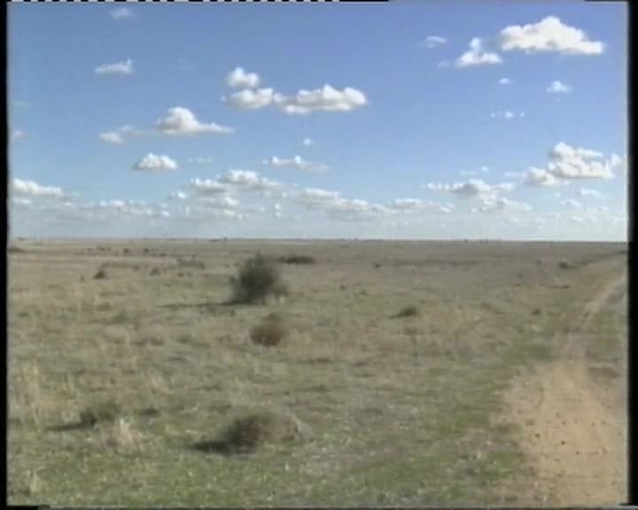 A still image from Overland with Cobb & Co.