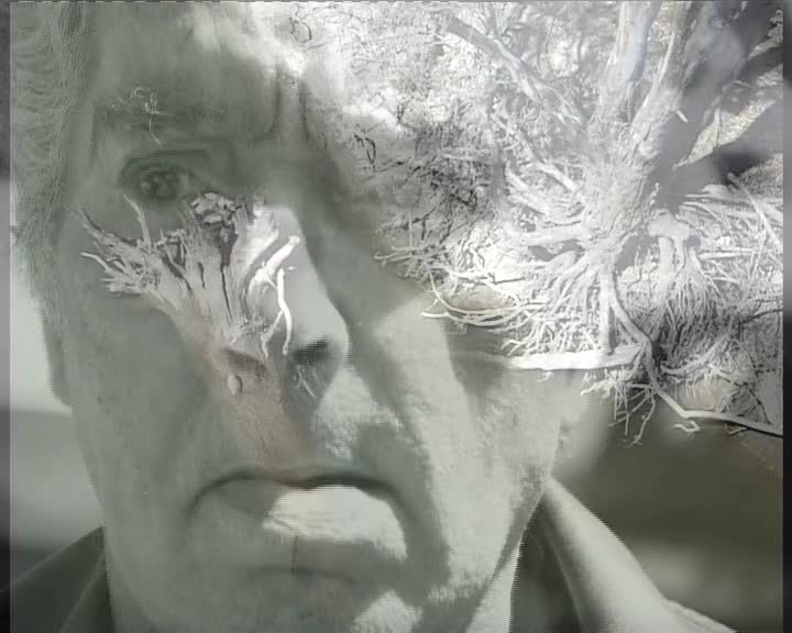 A still image from Robert's story [Subtitled]