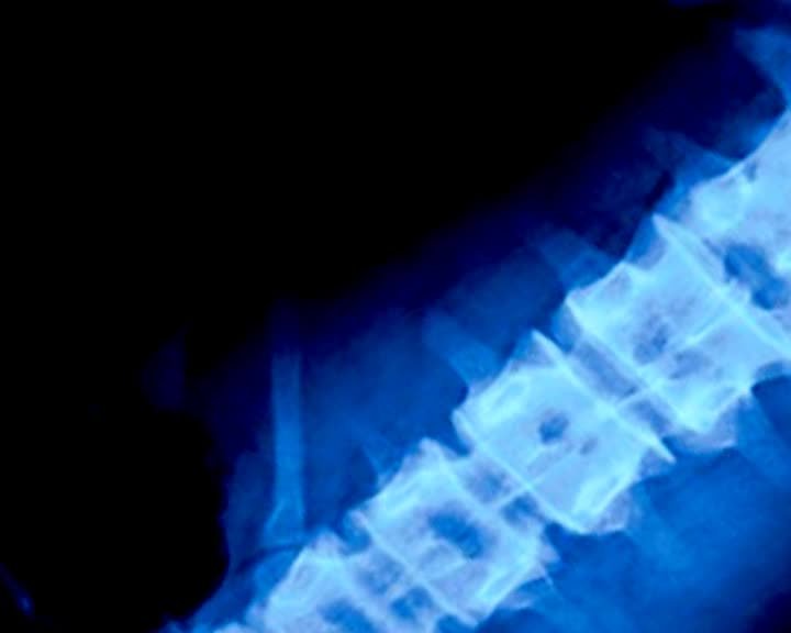 A still image from Who's that girl?