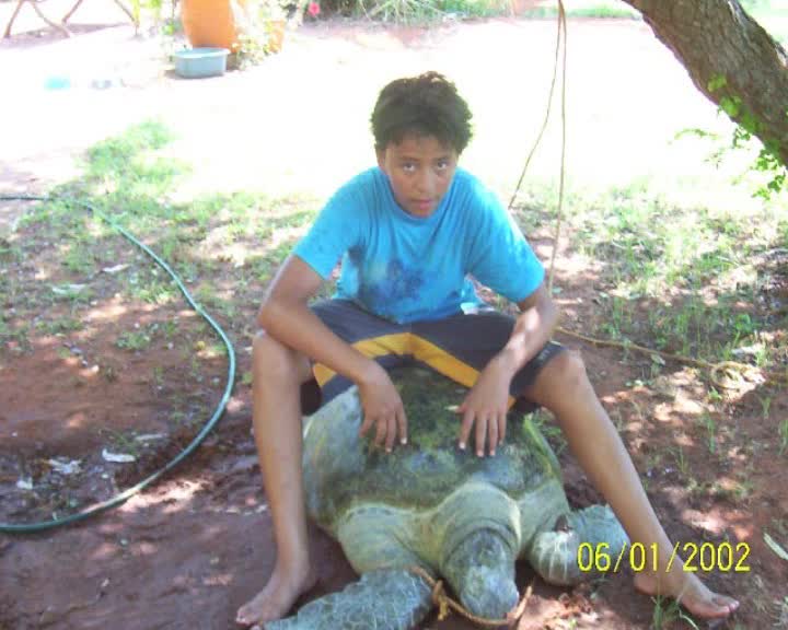 The Best life thumbnail image.