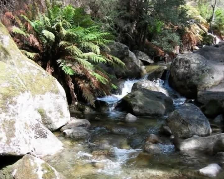 A still image from The Full bell curve