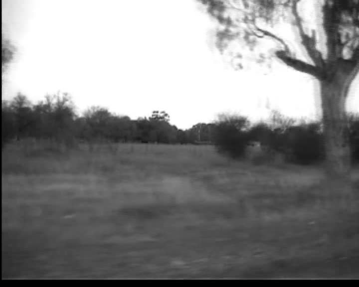 A still image from Sunday drives