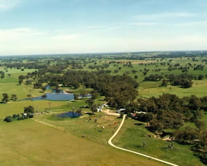 A still image from Ants in the irrigation drippers