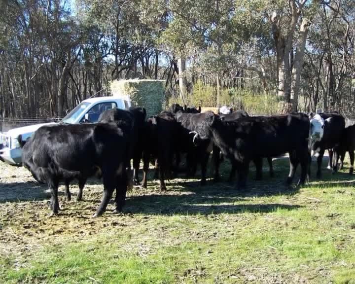 A still image from Thursday & Friday