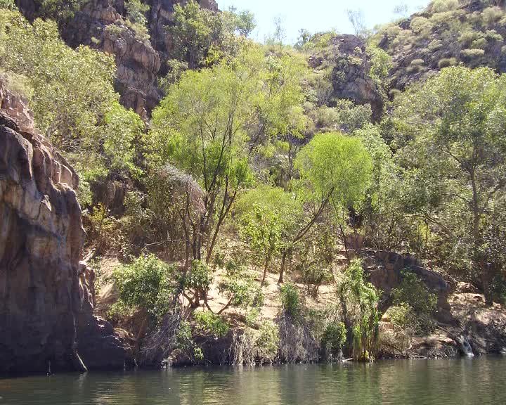 A still image from This is my offering