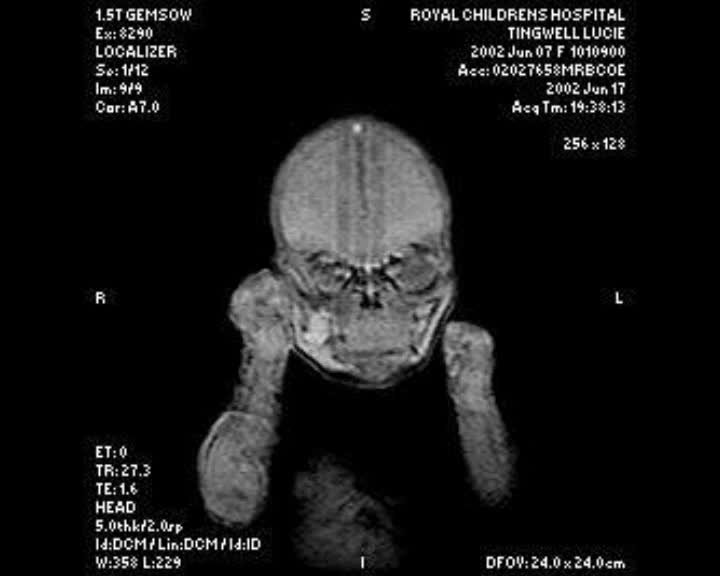 A still image from Learning Lucie style