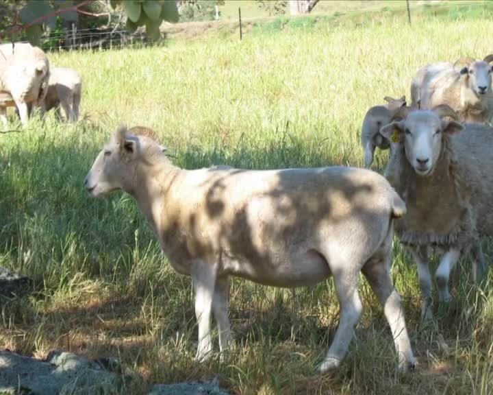 A still image from We came to an understanding