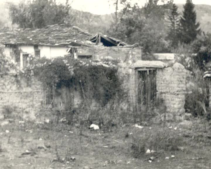 A still image from The Varnished truth