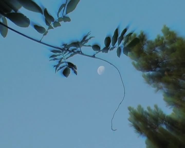 A still image from Memories of a radio