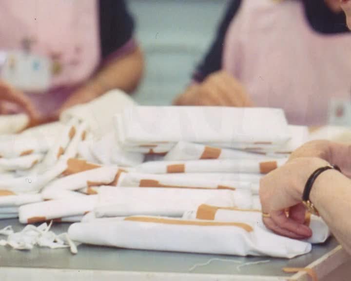 A still image from Anne's Legacy