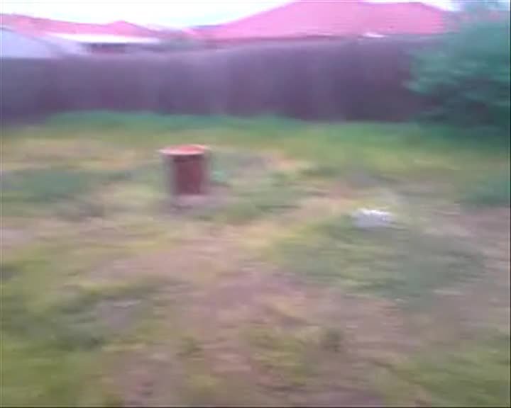 A still image from Lucky