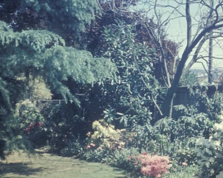 When the priest came thumbnail image.