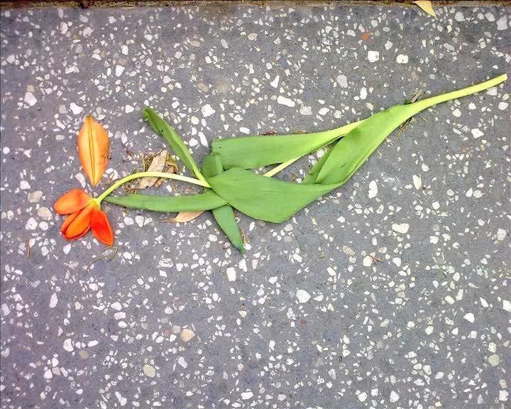 A still image from Speaking of Mary