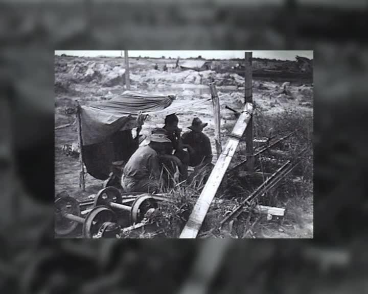 Signals : nerves of the army thumbnail image.