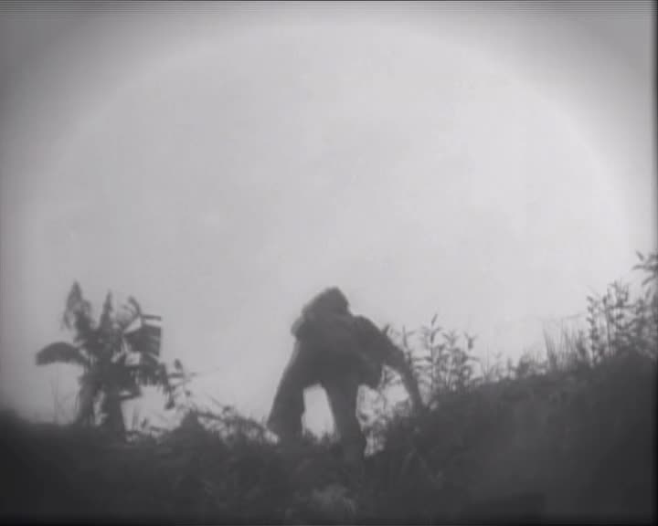 An Interview with Harold Brown thumbnail image.