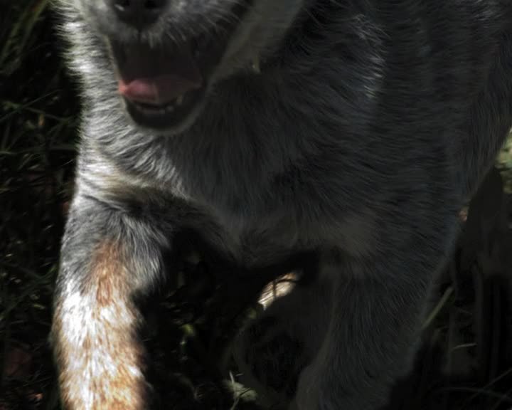 A still image from Yellow morning