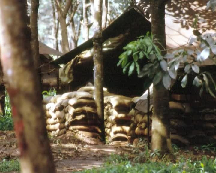 A Boy called "Rabbit" thumbnail image.