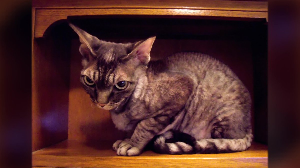 A still image from Awaken from Hibernation