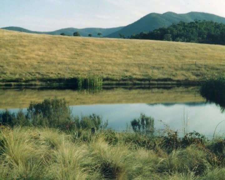 A still image from Forgotten corner