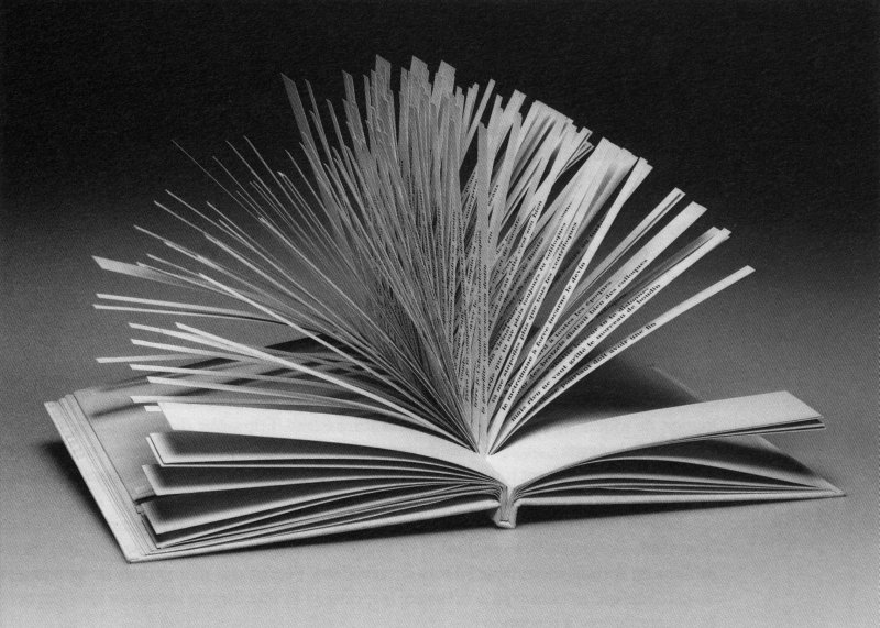 Hundred Thousand Billion Poems thumbnail image.